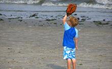 Bambino baseball
