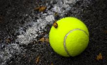 campo e pallina da tennis