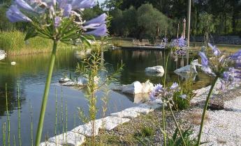 costruzione, piscina, biologica, materiali, sassi, pietre, naturale,