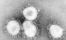 Coronavirus