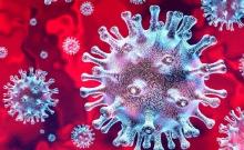 Coronavirus 2
