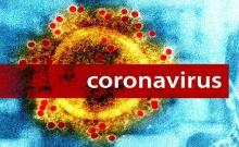 coronavirus immagine