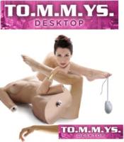 TO.M.M.YS. Desktop Edition - Soluzione software gestionale e controllo accessi per impianti di medio-grandi dimensioni