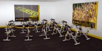 MATRIX - Studio Livestrong